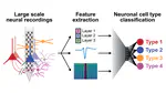 PAPER ALERT: Maxime’s paper on cell-type classification in the cerebellum is published in Cell!