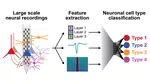 PAPER ALERT: Maxime’s paper on cell-type classification in the cerebellum is published in Cell!