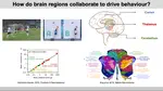 Subham presents his PhD work at the CDN internal seminar
